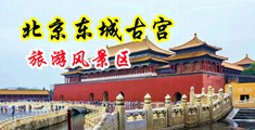 女人bb视频中国北京-东城古宫旅游风景区